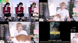 개짧뱅