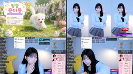 욤{문에이:주말} 39일차 ☆ 아롱사태단 고마어용