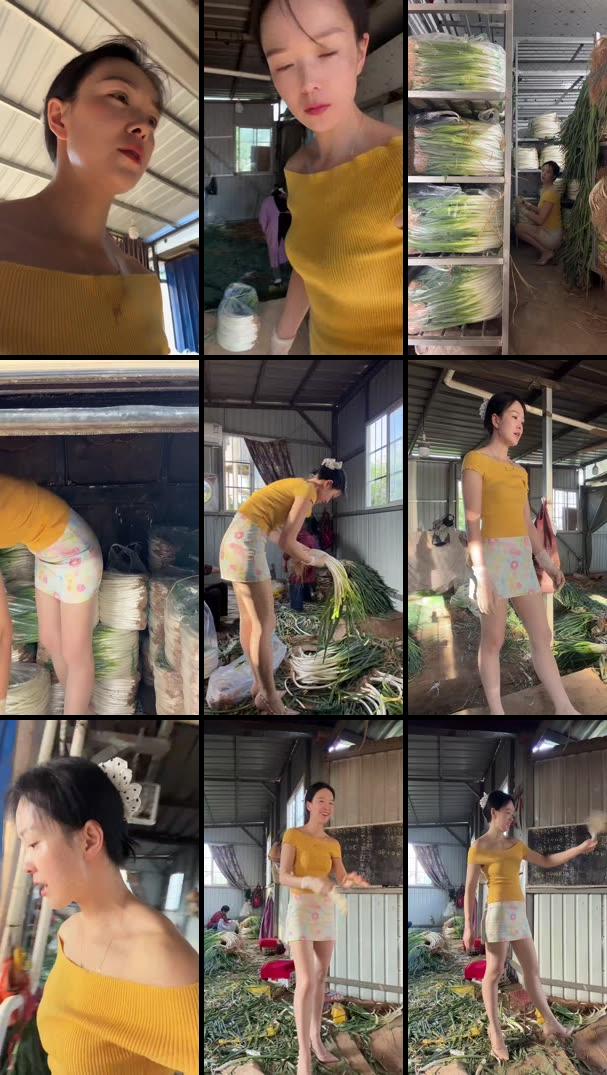 云南特有弯葱花正在直播