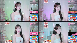 [신입] 냥줍해가세여♡ 뽑기1+1이벤트!♡