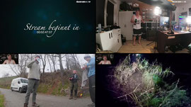 Straight Line und Der grösste Wald Europas`?