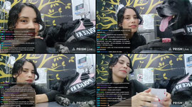 EN EL VETERINARIO CON LUNA! 💕❗rifa❗alertas  || RR: @Stormpanic 💕