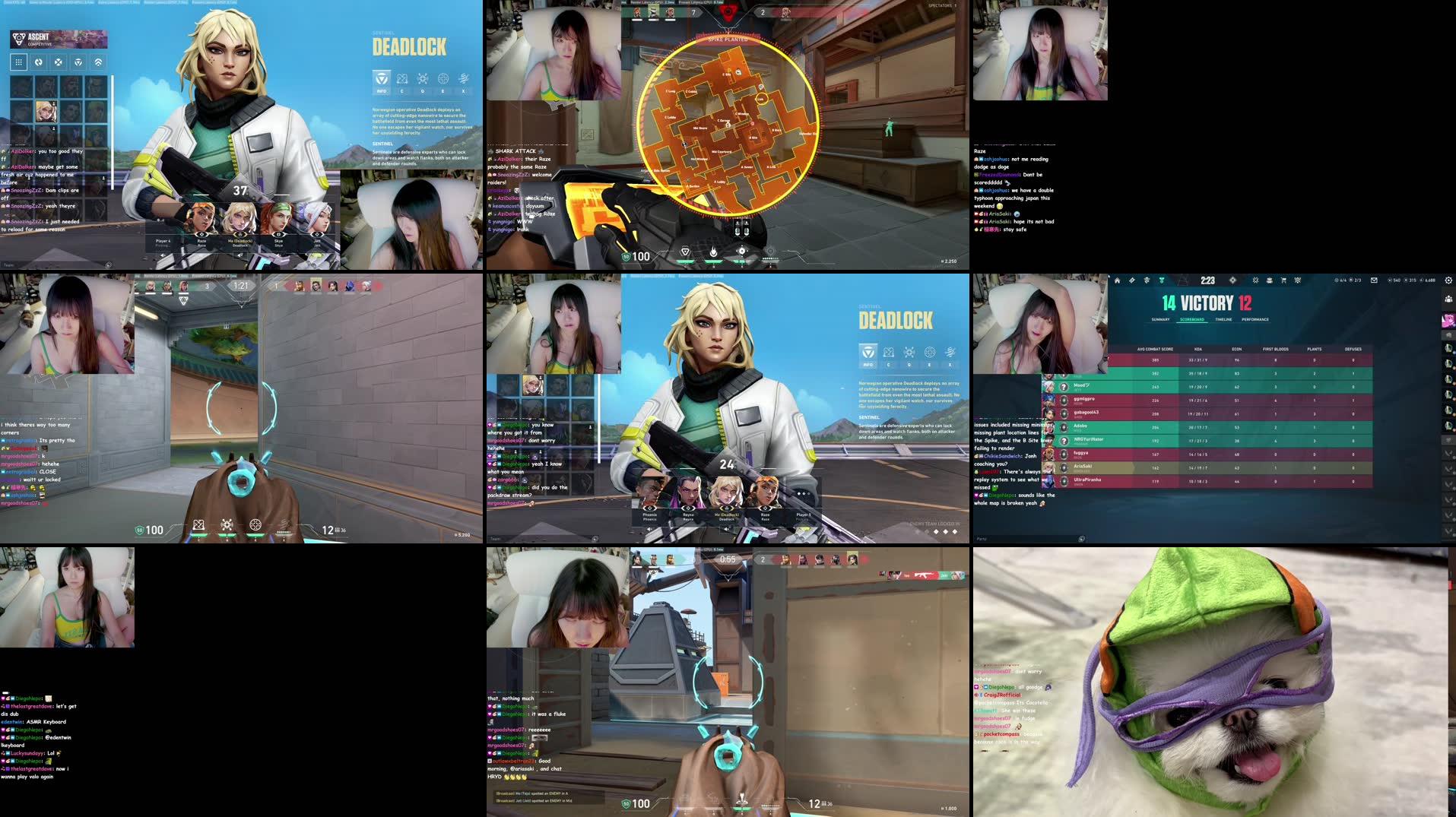 MECCHA CHAMELEON FIRST TIME W/ FRIENDS WOOO!!! -> PACKDRAW -> SPY CAM CLEANING