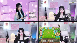 하이브.노블) 수요팅 !