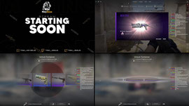 OPENING CASES