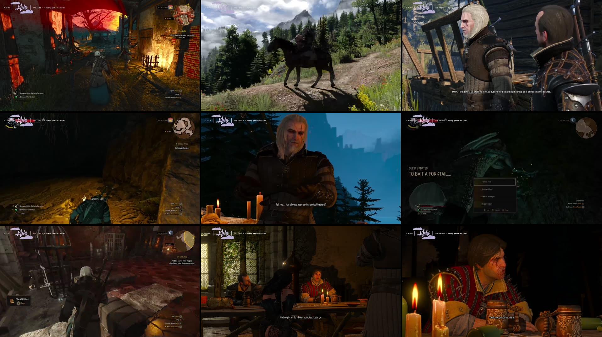 COZY WITCHER 3 MAIN STORY | RP LATER & NEW CAM GOAL!
