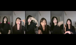 게스트