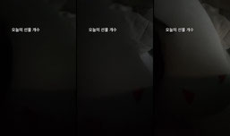 테스트
