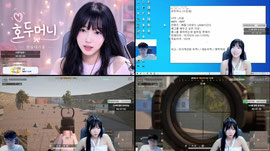 멸망전 대비 토이쨔