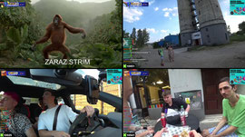 STREAM Z UPAŁUW Piesek robi wszystko co Pan powie  | !casehug !holy