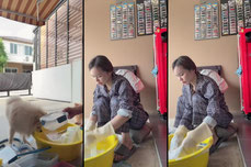 Untitled stream