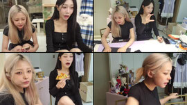 콩코치의 하루