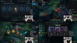 Cuzz 정글