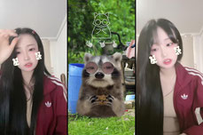 게스트