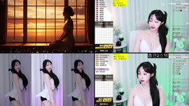 플렉시벌 하꼬 살려ㅠ