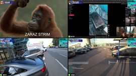 DZIEŃ NA NIE WIDZOWIE DECYDUJĄ O MOIM DNIU  | !casehug !holy