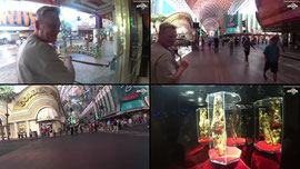 WORLDTOUR LAS VEGAS - DOWNTOWN und Elvis Suite