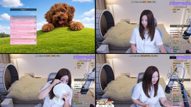 노래가 싱싱하네요