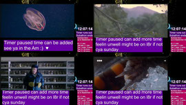 Subathon DAY 11