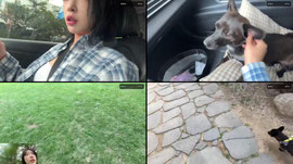 지금공주님 놀아주기 // 애견카페