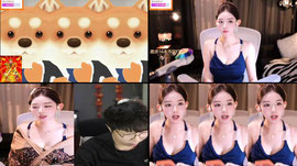 期待来自相遇~保灯好无助。。