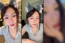 🐱