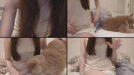 Untitled stream