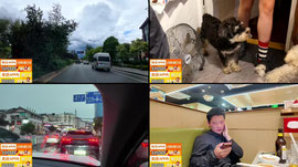 在丽江古城云游