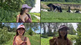 IRL NETHERLANDS NATURE