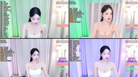 하잉 올만 1452 2852 방셀