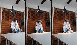 Recording Thumbnail