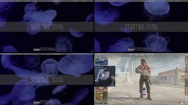 Recording Thumbnail