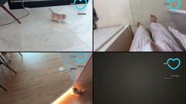 [씨나인:신입] 다들 화가나셨네요