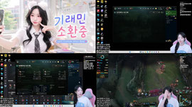 감컴 배도라지 멧챠카멜레온 후열