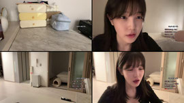 이사했어욥 생존신고 ㅇㅅㅇ