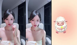 今天分了吗