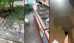 산책중 아그들아