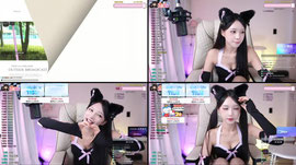 오늘 고양이 미냥이인데 입양하실분? 565 약방셀 1452 방셀~