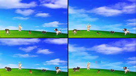 Recording Thumbnail