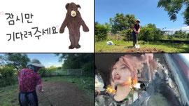 노가다 후 자몽사와 먹는중..