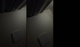 자자