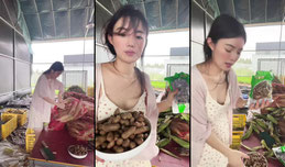 五年前骑三轮车卖水果的小妹🥭