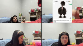 BATENDO UM PAPO COM O CHAT