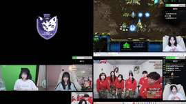 [뉴캣슬]  스폰환영 도랑 vs 란란언닝