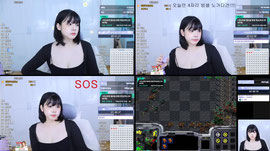 -BB랜드- 니언x만월 빨무 5승 노방종