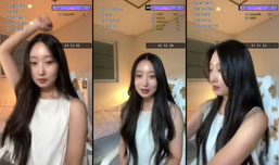 [신입] 뉴시그 룰렛 50