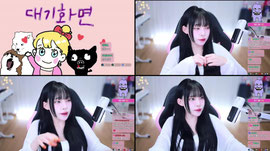 실수로 얼굴 노출된 버튜버