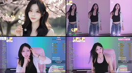 *뉴시그 이벤트 - 229(20/20) / 310(20/20)🔥