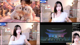 앙뇽 !
