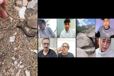 اكبر عائق للنجاح خوف الفشل